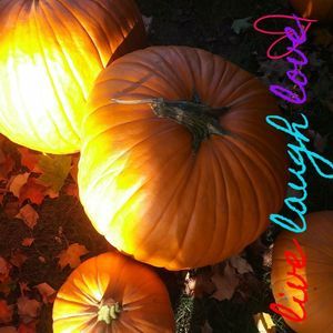 Meet your Posher, Janey